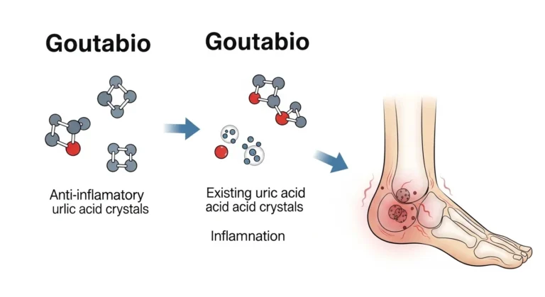 Goutabio: Redefining Biotech Innovation for a Data-Driven Future