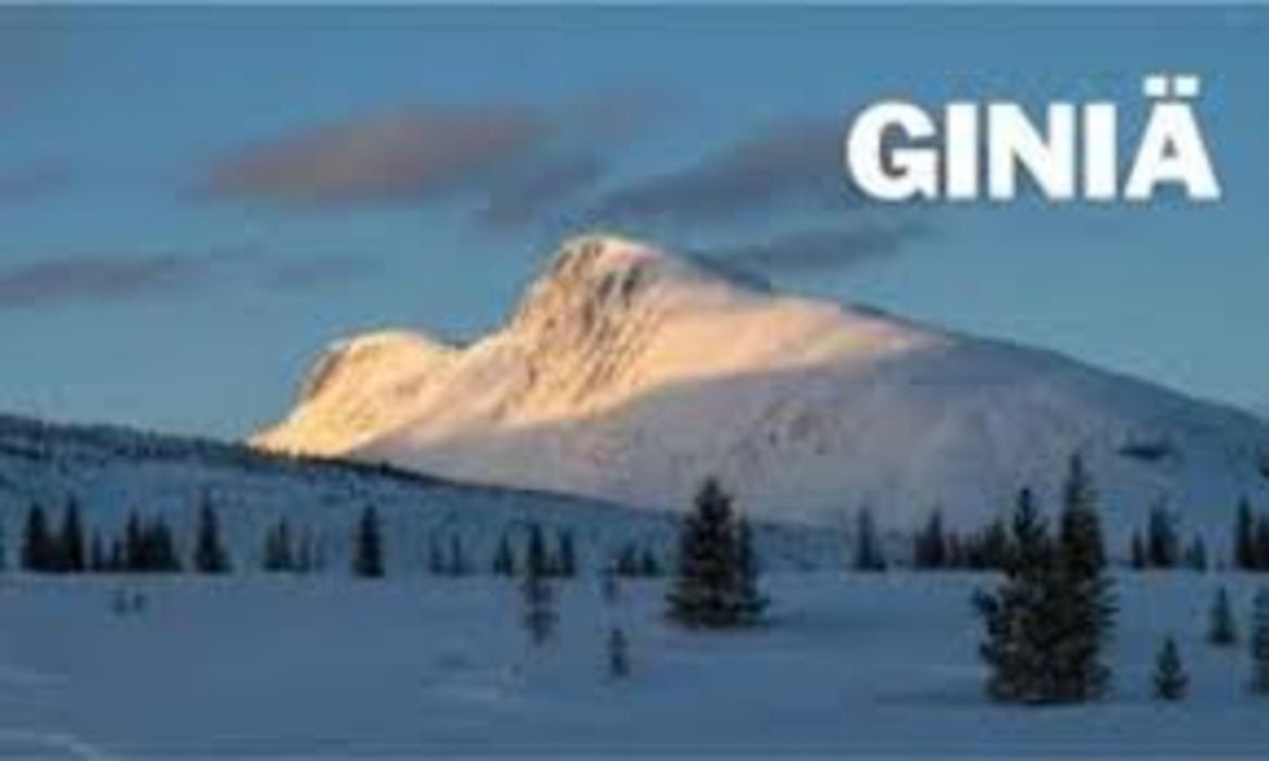 giniä