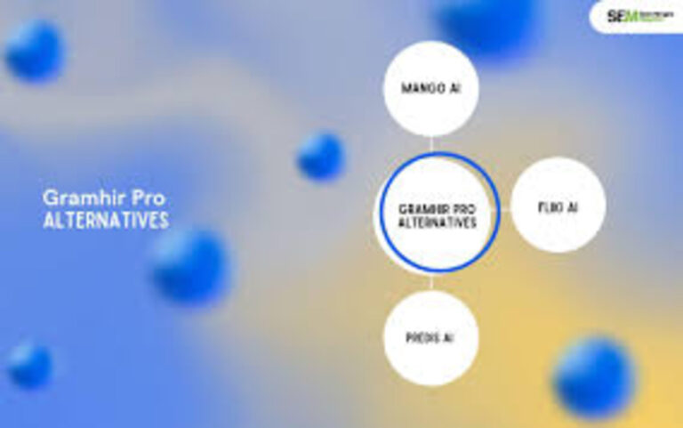 Gramhir Pro: Why Modern Entrepreneurs Are Turning to Smarter Instagram Analytics